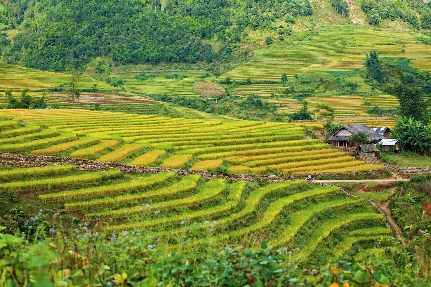 Bike Trip Hanoi Mai Chau, Ninh Binh 3 Days